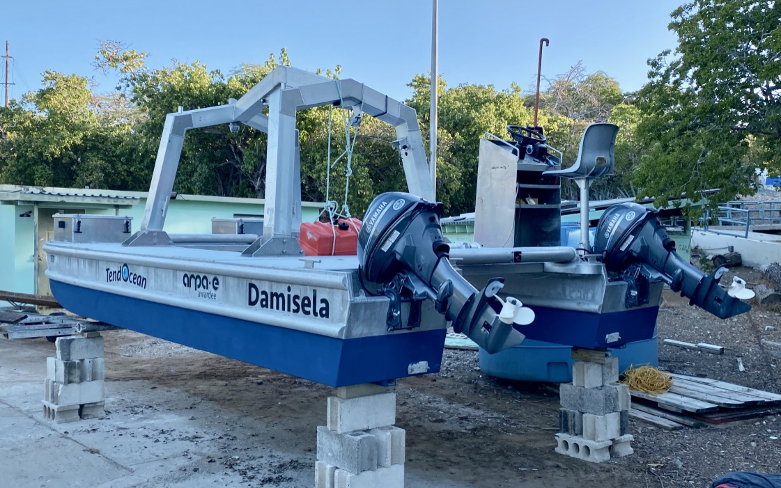 Damisela